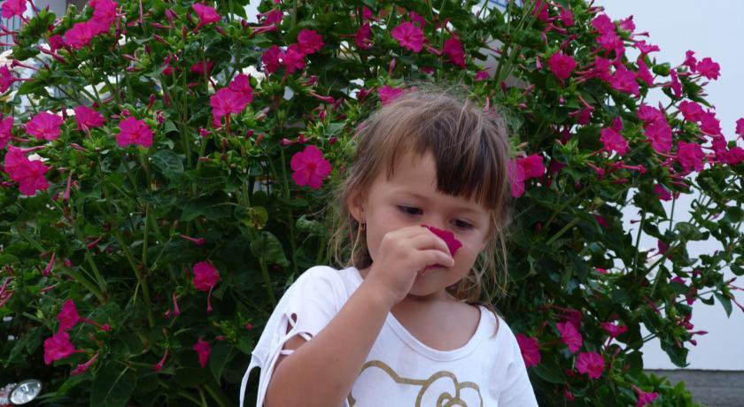 Гостиница Априори Витязево-20