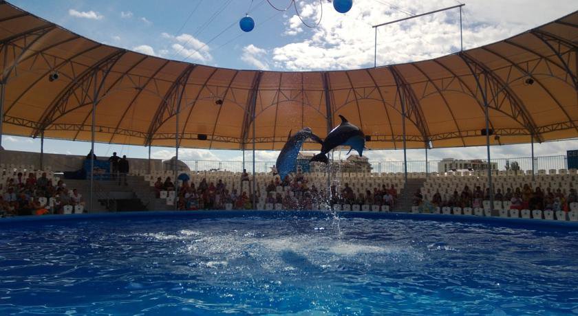 Гостиница Априори Витязево-57
